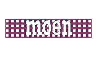 MOEN MOEN
